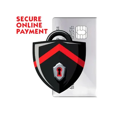 Secure online payment